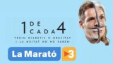 Ajuts concedits per La Marató de TV3 2015