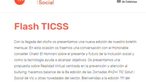 Newsletter Flash TICCS