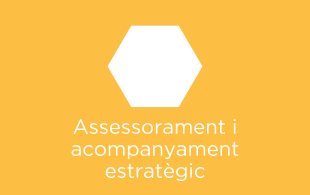 Assessorament i serveis d'acompanyament estratègic