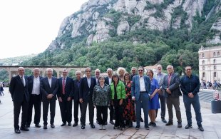 Consell Consultiu de La Unió